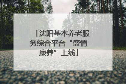 沈阳基本养老服务综合平台“盛情康养”上线