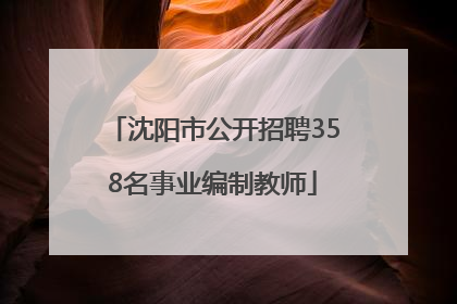 沈阳市公开招聘358名事业编制教师