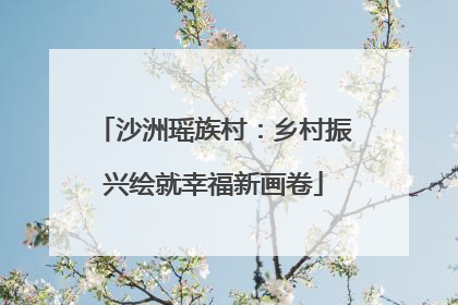 沙洲瑶族村：乡村振兴绘就幸福新画卷