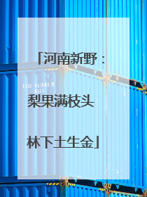河南新野：梨果满枝头 林下土生金