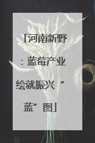 河南新野：蓝莓产业绘就振兴“蓝”图