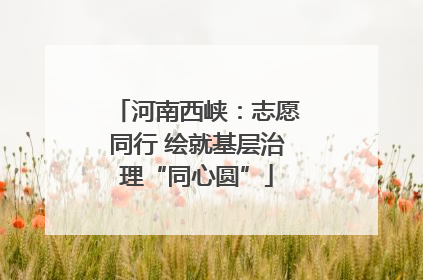 河南西峡：志愿同行 绘就基层治理“同心圆”