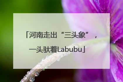 河南走出“三头象”，一头驮着Labubu