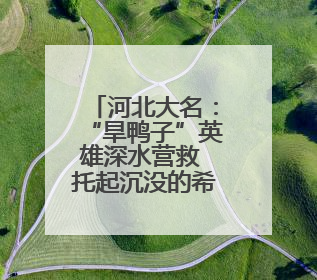 河北大名：“旱鸭子”英雄深水营救 托起沉没的希望