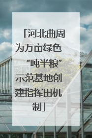 河北曲周为万亩绿色“吨半粮”示范基地创建指挥田机制