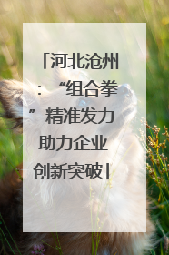 河北沧州：“组合拳”精准发力 助力企业创新突破