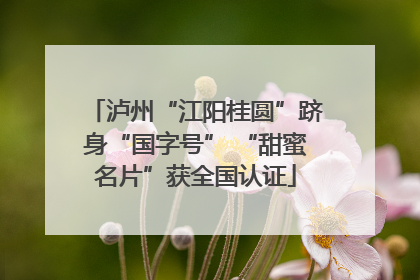 泸州“江阳桂圆”跻身“国字号” “甜蜜名片”获全国认证