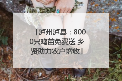 泸州泸县：8000只鸡苗免费送 乡贤助力农户增收