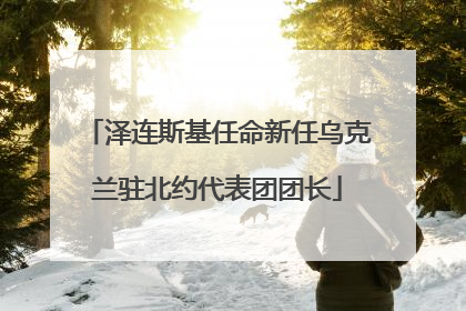 泽连斯基任命新任乌克兰驻北约代表团团长