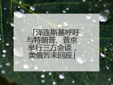 泽连斯基呼吁与特朗普、普京举行三方会谈，美俄暂未回应