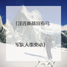 泽连斯基宣布乌军队人事变动