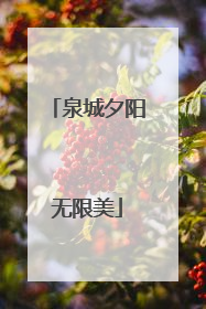 泉城夕阳无限美