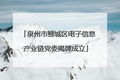 泉州市鲤城区电子信息产业链党委揭牌成立