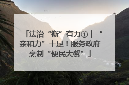 法治“衡”有力①｜“亲和力”十足！服务政府烹制“便民大餐”