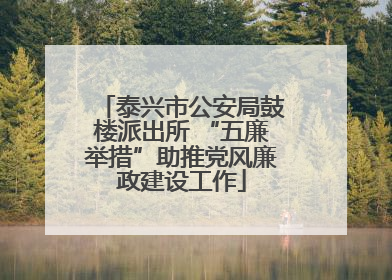 泰兴市公安局鼓楼派出所 “五廉举措”助推党风廉政建设工作