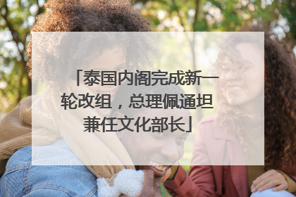 泰国内阁完成新一轮改组，总理佩通坦兼任文化部长