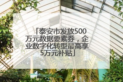 泰安市发放500万元数据要素券，企业数字化转型最高享5万元补贴