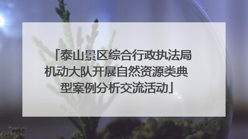 泰山景区综合行政执法局机动大队开展自然资源类典型案例分析交流活动