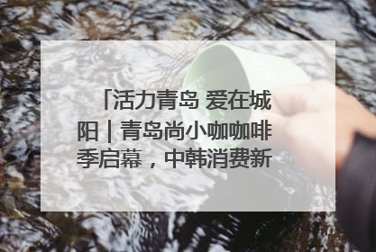 活力青岛 爱在城阳｜青岛尚小咖咖啡季启幕，中韩消费新场景点燃夏日热情