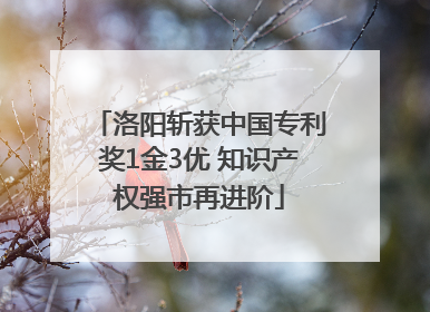洛阳斩获中国专利奖1金3优 知识产权强市再进阶