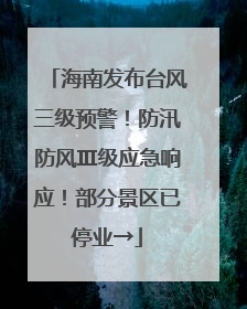 海南发布台风三级预警！防汛防风Ⅲ级应急响应！部分景区已停业→