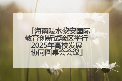 海南陵水黎安国际教育创新试验区举行2025年高校发展协同圆桌会会议