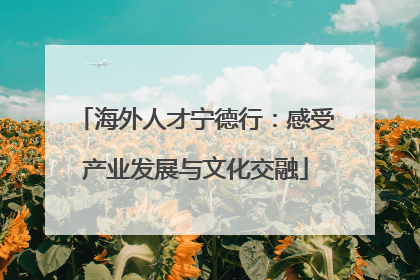 海外人才宁德行：感受产业发展与文化交融