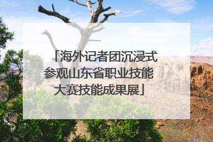 海外记者团沉浸式参观山东省职业技能大赛技能成果展