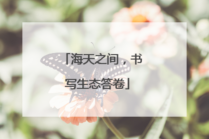 海天之间，书写生态答卷