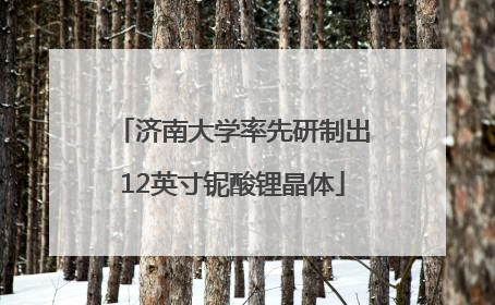济南大学率先研制出12英寸铌酸锂晶体