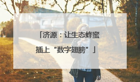 济源：让生态蜂蜜插上“数字翅膀”