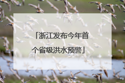 浙江发布今年首个省级洪水预警