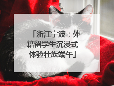 浙江宁波：外籍留学生沉浸式体验壮族端午