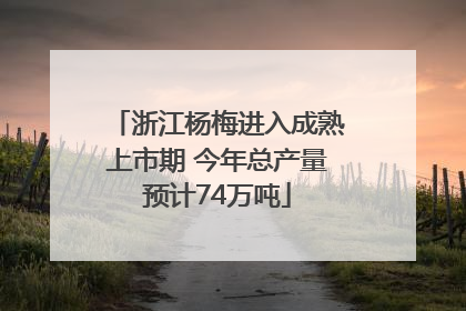浙江杨梅进入成熟上市期 今年总产量预计74万吨