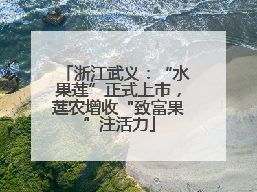 浙江武义：“水果莲”正式上市，莲农增收“致富果”注活力