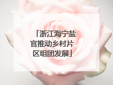 浙江海宁盐官推动乡村片区组团发展