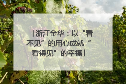浙江金华：以“看不见”的用心成就“看得见”的幸福