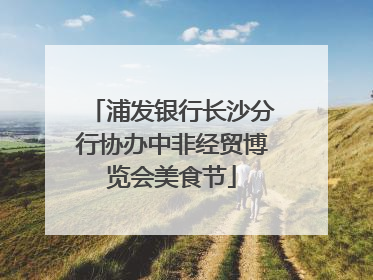 浦发银行长沙分行协办中非经贸博览会美食节