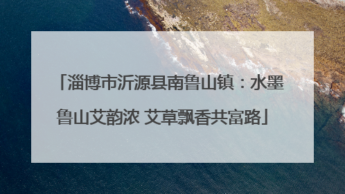 淄博市沂源县南鲁山镇：水墨鲁山艾韵浓 艾草飘香共富路