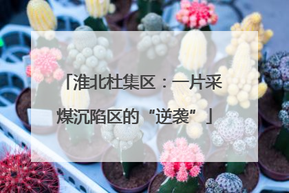 淮北杜集区：一片采煤沉陷区的“逆袭”