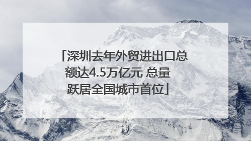 深圳去年外贸进出口总额达4.5万亿元 总量跃居全国城市首位