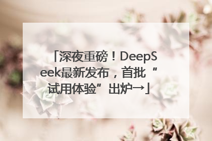 深夜重磅！DeepSeek最新发布，首批“试用体验”出炉→