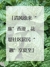 清风徐来“廉”香漫，花堤社区居民“趣”享夏至