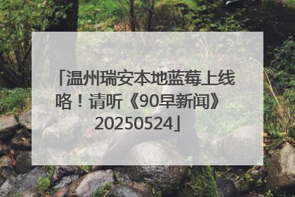 温州瑞安本地蓝莓上线咯！请听《90早新闻》20250524