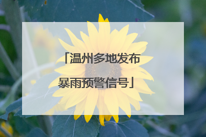 温州多地发布暴雨预警信号