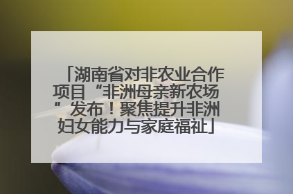 湖南省对非农业合作项目“非洲母亲新农场”发布！聚焦提升非洲妇女能力与家庭福祉