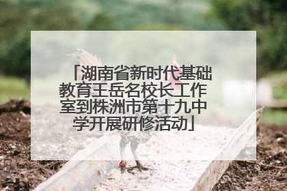 湖南省新时代基础教育王岳名校长工作室到株洲市第十九中学开展研修活动