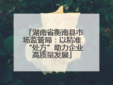 湖南省衡南县市场监管局：以精准“处方”助力企业高质量发展
