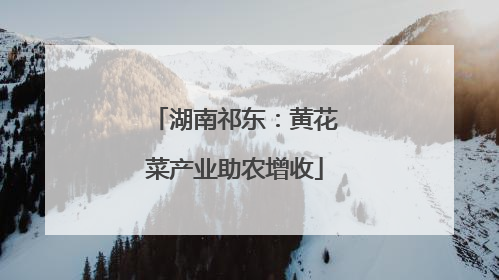 湖南祁东：黄花菜产业助农增收