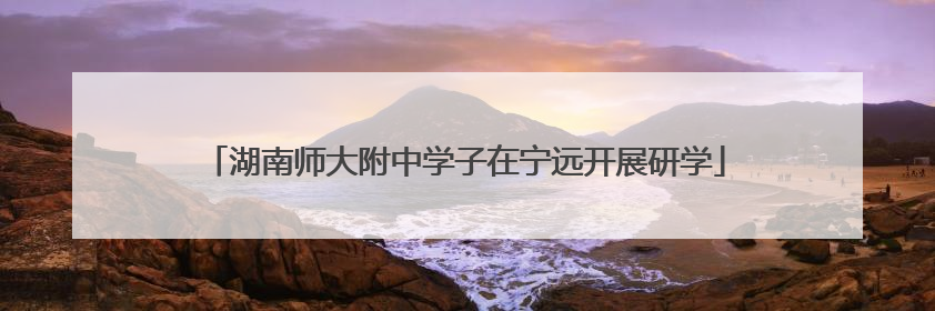 湖南师大附中学子在宁远开展研学